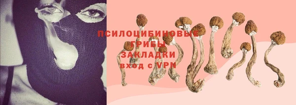 соль ск Алексин